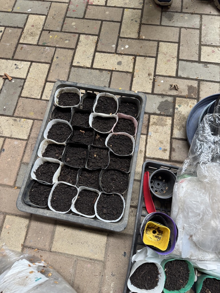 Image - 2026-04-30T105225.894